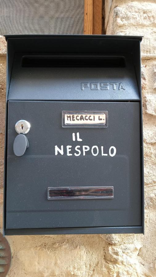 Appartamento Il Nespolo San Gimignano Buitenkant foto